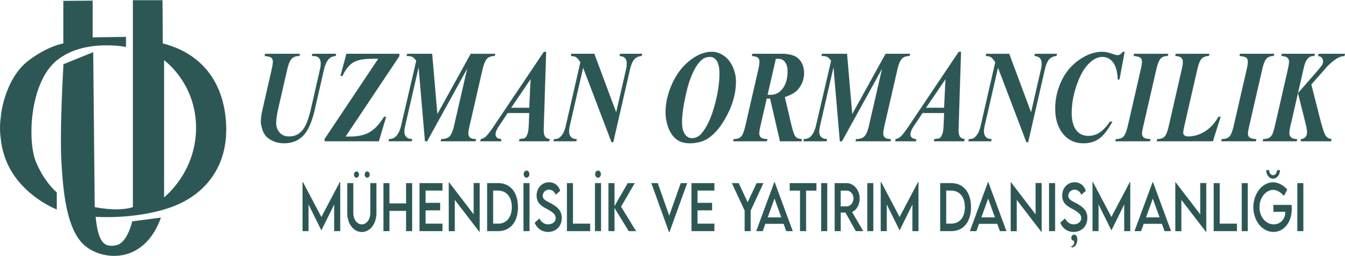 Uzman Ormancılık
